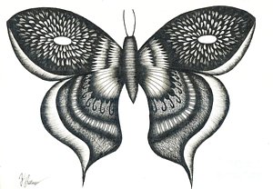 300x208 Beautiful Butterfly Drawings Fine Art America - Beautiful Butterfly Drawing