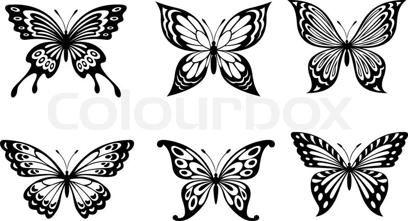 800x433 Beautiful Butterflies Stock Vector Colourbox - Beautiful Butterfly Drawing