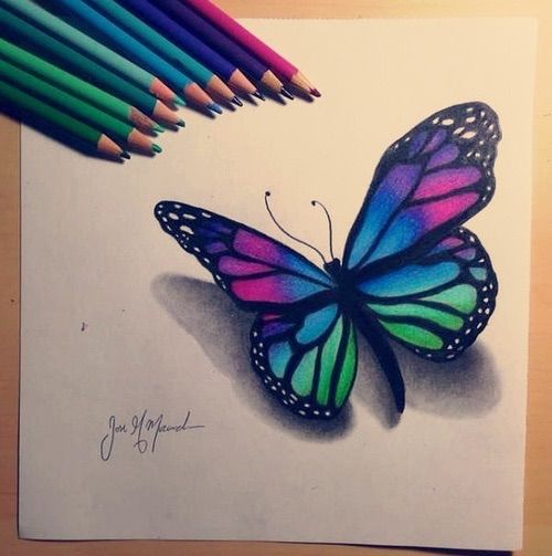 500x503 Butterfly Drawing Butterflies And Dragonflies - Beautiful Butterfly Drawing
