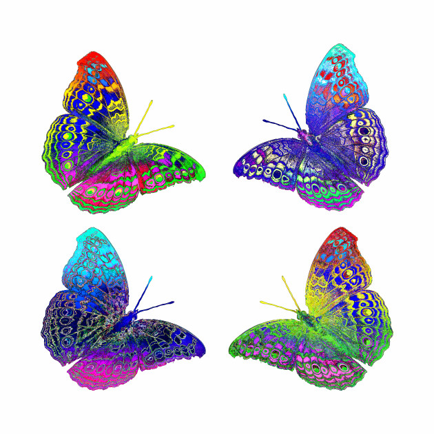 630x630 colorful bright rainbow colors butterflies drawing - Beautiful Butterfly Drawing