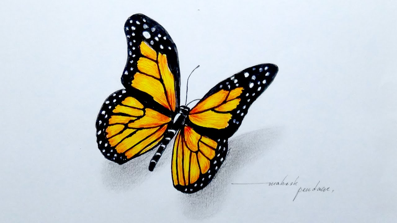 1280x720 Drawing A Beautiful Butterfly - Beautiful Butterfly Drawing