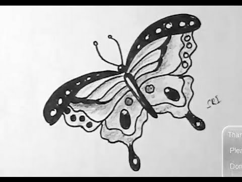 480x360 How To Draw A Beautiful Butterfly With Sketch Pen Yzarts - Beautiful Butterfly Drawing