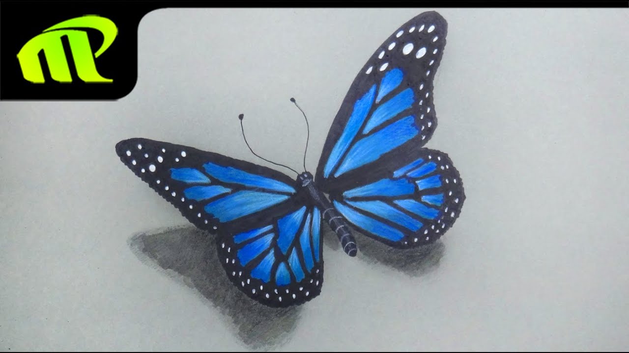 1280x720 Beautiful Butterfly Drawing - Beautiful Butterfly Drawing