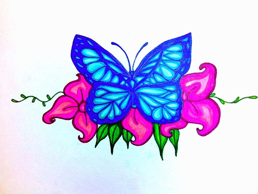 900x675 Beautiful Butterfly Drawing - Beautiful Butterfly Drawing