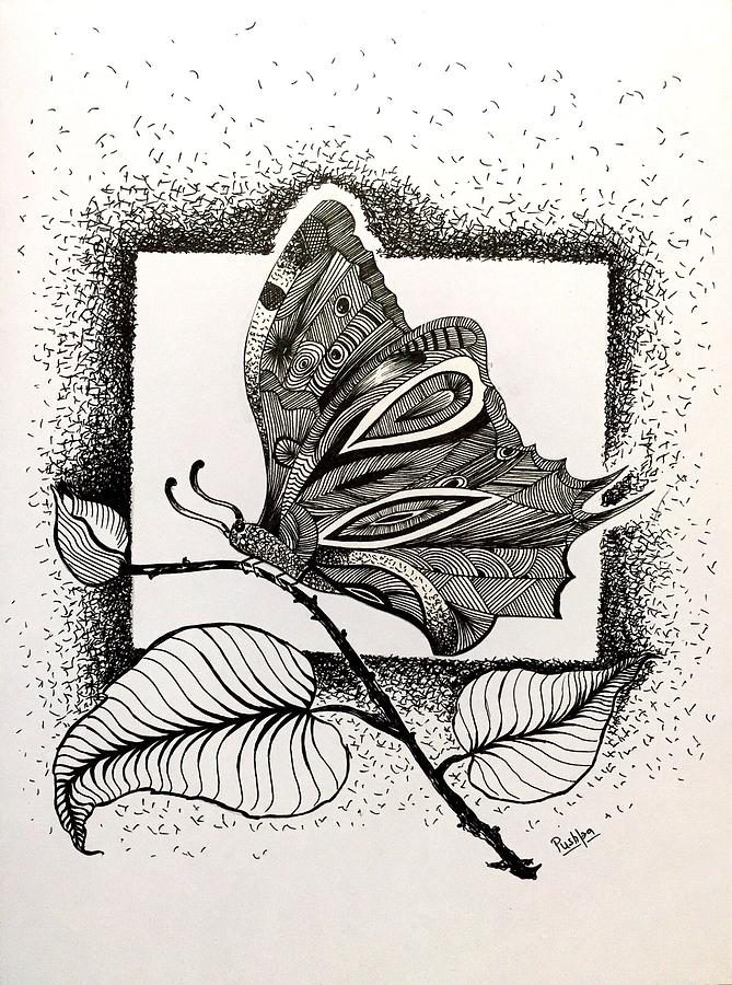669x900 Beautiful Butterfly Drawing - Beautiful Butterfly Drawing