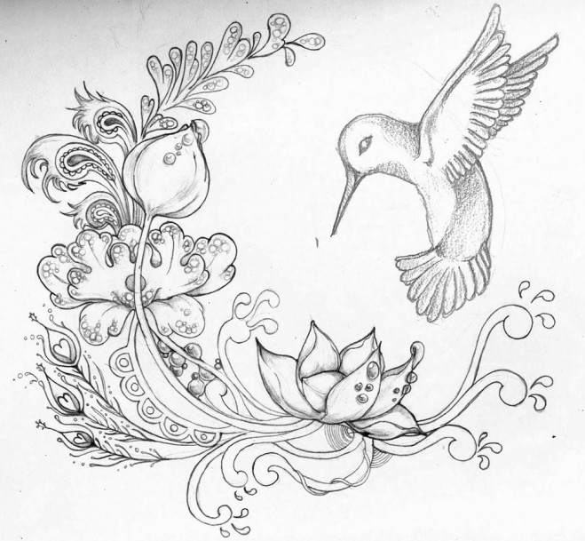 659x609 Beautiful Flower Drawings And Realistic Color Pencil Drawings - Beautiful Drawing Images