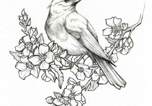 300x210 Beautiful Drawing Pictures Of Flowers Pinmarvin Todd On Drawing - Beautiful Drawings Of Flowers