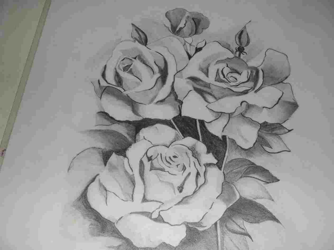 1264x948 Rose Drawings Flowers Flower Drawing Rose A Easy Of Beautiful - Beautiful Drawings Of Flowers