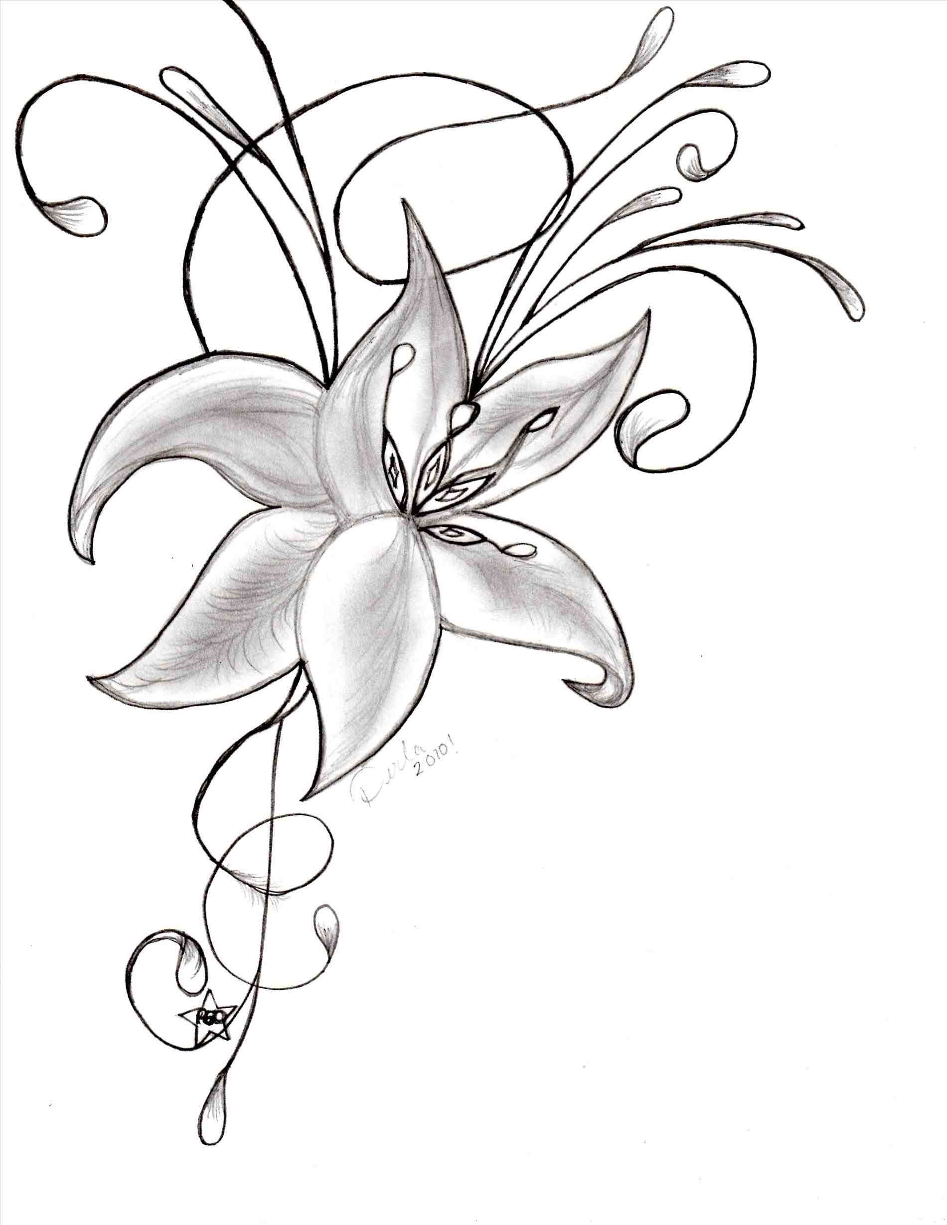 1900x2458 Beautiful Drawing Of Flowers - Beautiful Drawings Of Flowers