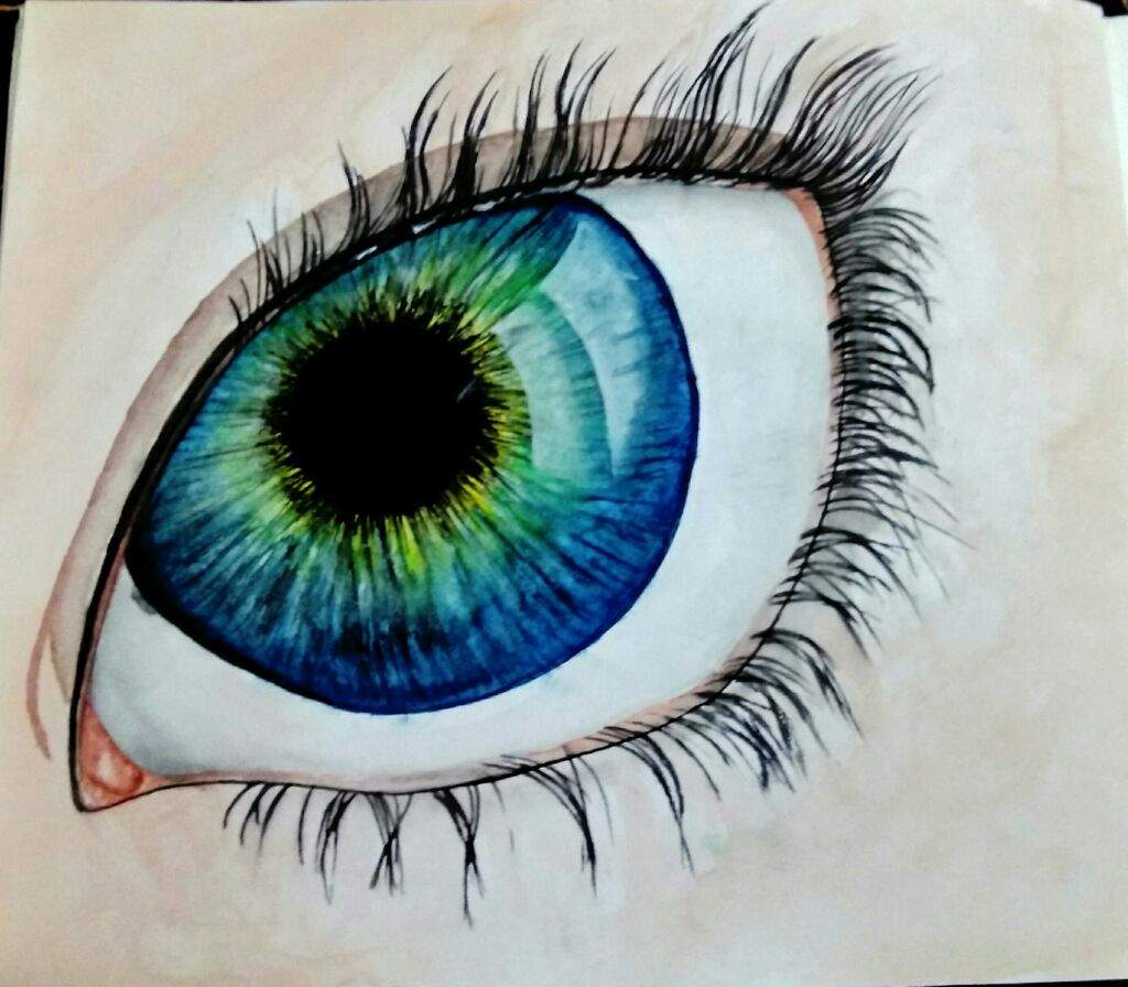 1024x896 gorgeous eyes amino - Beautiful Eyes Drawing