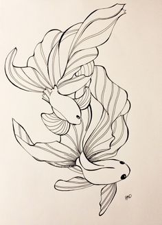 Beautiful Fish Drawing