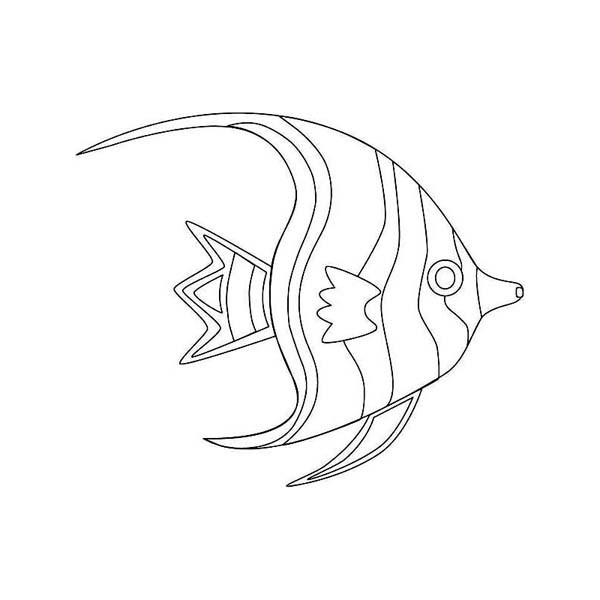 600x600 Easy Fish Sketches Unique Beautiful Fish Drawing - Beautiful Fish Drawing