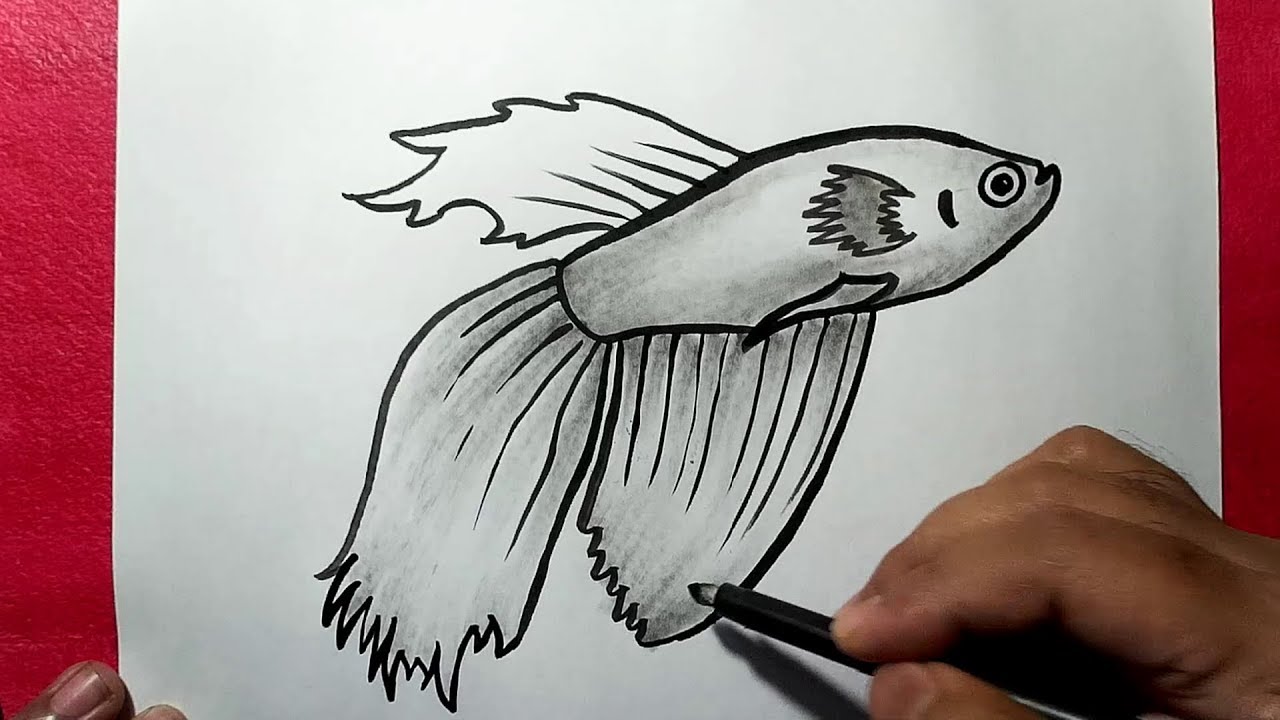 1280x720 How To Draw A Beautiful Fish Yzarts - Beautiful Fish Drawing
