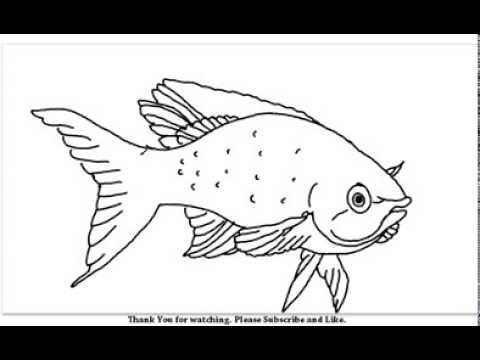 480x360 how to draw a beautiful fish yzarts yzarts - Beautiful Fish Drawing