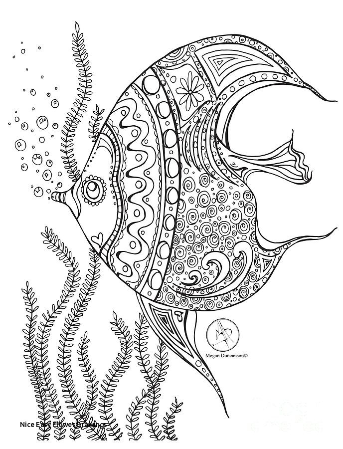 688x900 Nice Easy Flower Drawings Beautiful Fish Drawing - Beautiful Fish Drawing