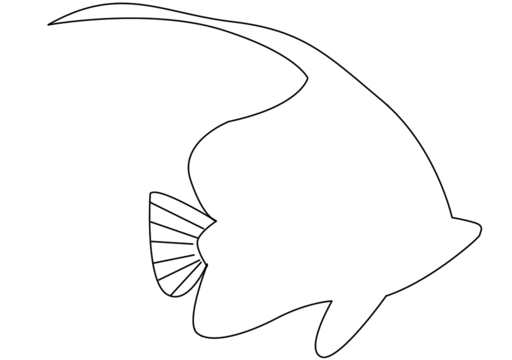 1024x720 pet fish beautiful freshwater aquarium fish drawing - Beautiful Fish Drawing