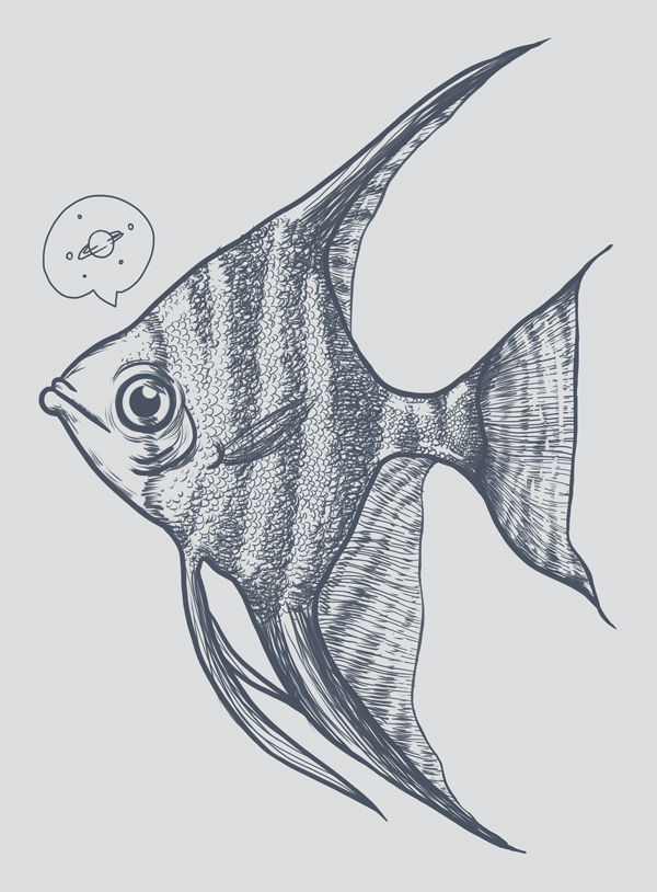 600x814 angelfish fish aquarium freshwater pterophyllum cichlid - Beautiful Fish Drawing