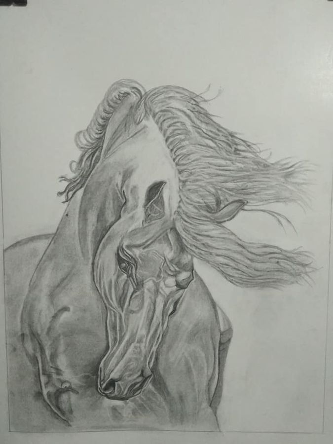 675x900 Beautiful Horse Painting - Beautiful Horse Drawing