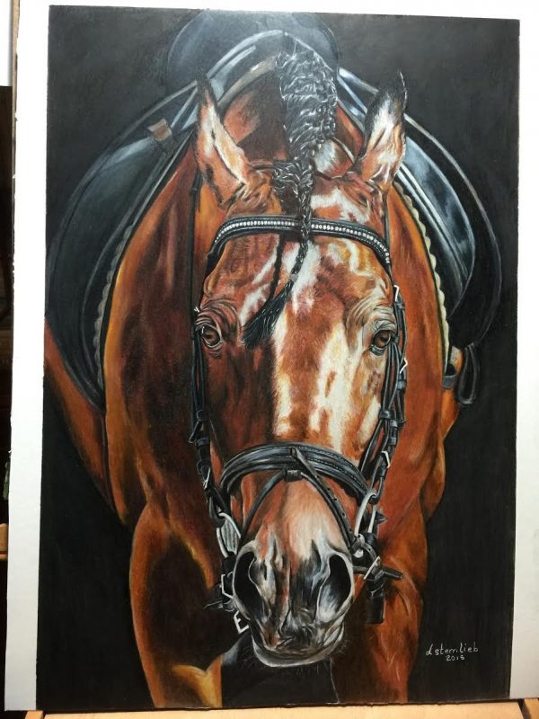 600x800 Colored Pencil Horse Drawing Critique - Beautiful Horse Drawing