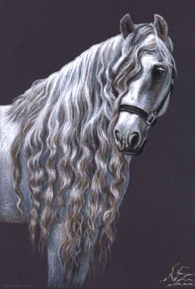 655x971 Beautiful And Realistic Animal Drawings Around The World - Beautiful Horse Drawing