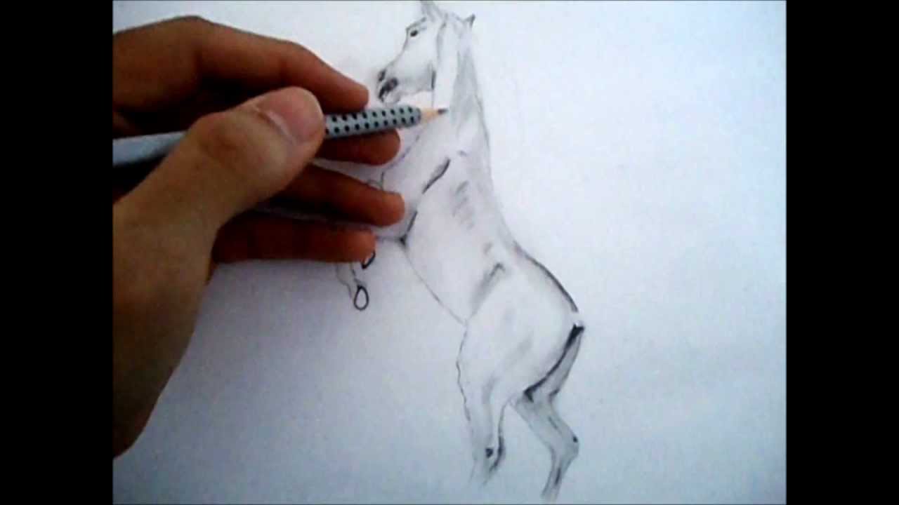 1280x720 Drawing A Beautiful Horse - Beautiful Horse Drawing