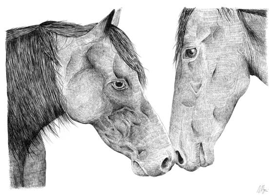 570x403 Horse Drawings Horse Pics Pen And Ink Drawings Modern Etsy - Beautiful Horse Drawing