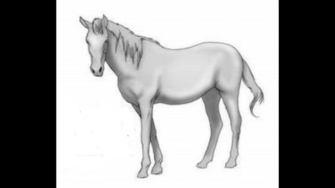 1280x720 Steps To Draw Beautiful Horse - Beautiful Horse Drawing