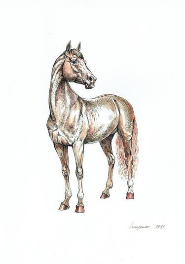 375x535 My Beautiful Horse Drawing - Beautiful Horse Drawing
