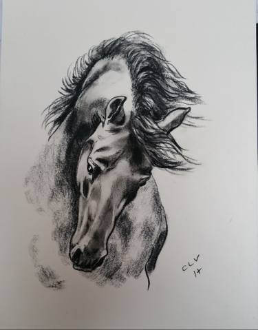 375x479 Stallion Drawing - Beautiful Horse Drawing