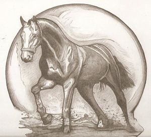 300x273 Beautiful Horse Drawing - Beautiful Horse Drawing