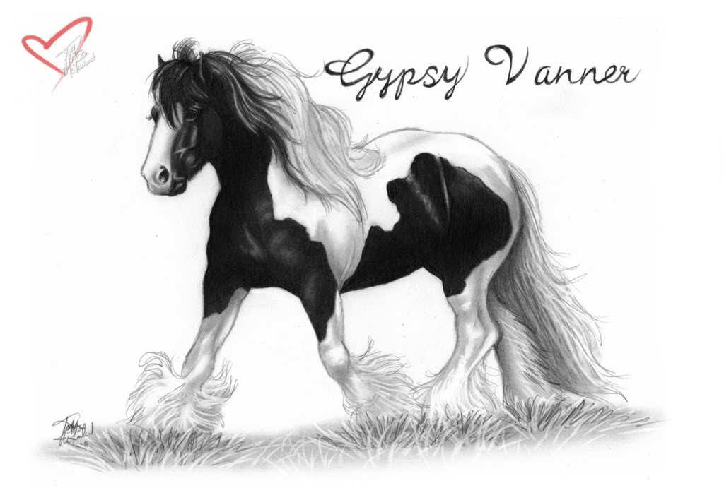 1024x691 beautiful horse drawings! my horse forum - Beautiful Horse Drawing