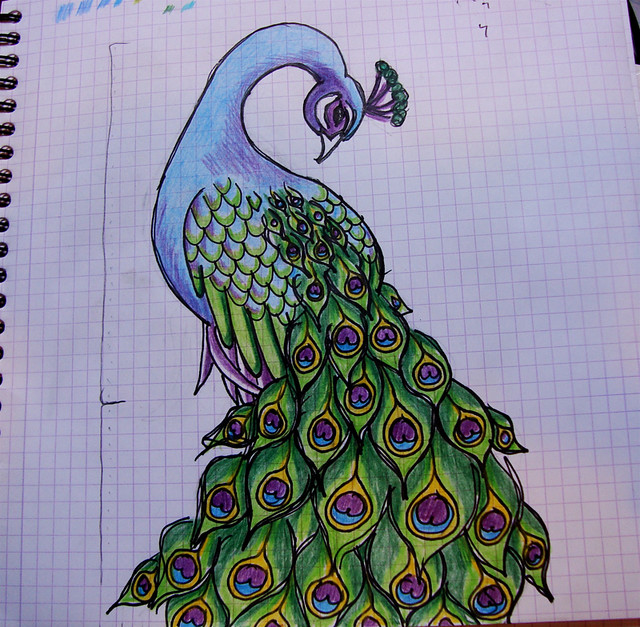 640x627 Beautiful Peacock Drawing - Beautiful Peacock Drawing