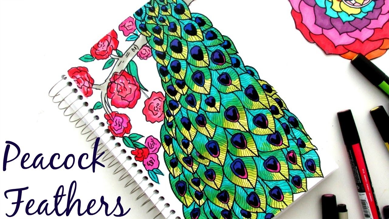 1280x720 Drawing Beautiful Peacock Feathers Art - Beautiful Peacock Drawing