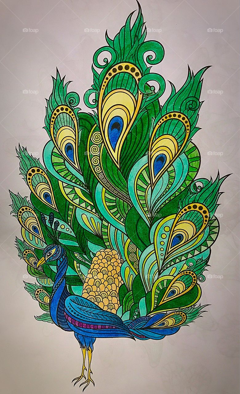 780x1280 Beautiful Peacock Painting Stock Photo - Beautiful Peacock Drawing