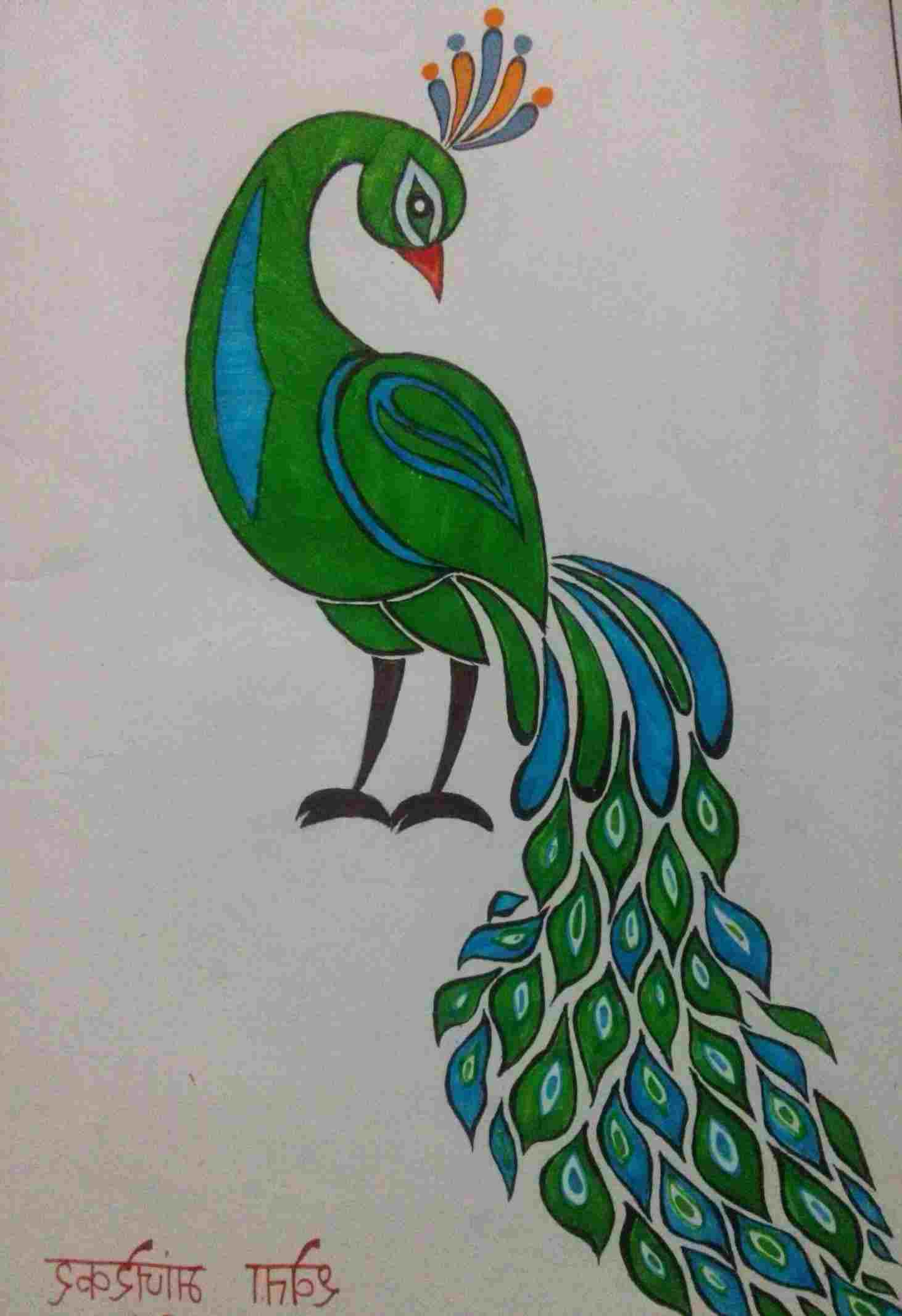 Beautiful Peacock Drawing at PaintingValley.com | Explore collection of ...