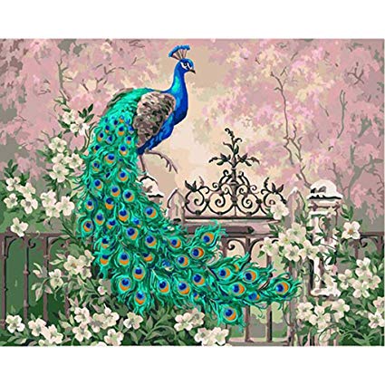 425x425 Techinal Diy Oil Painting - Beautiful Peacock Drawing