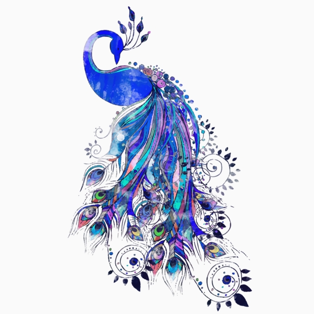 640x640 Beautiful Peacock Colorful Blue Drawing Paint Vector, Peacock - Beautiful Peacock Drawing