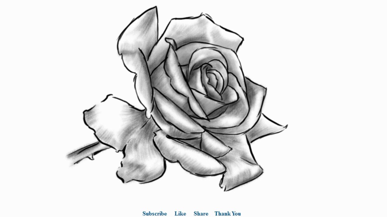 1280x720 How To Draw A Beautiful Rose With Shading Easy To Draw - Beautiful Rose Drawing