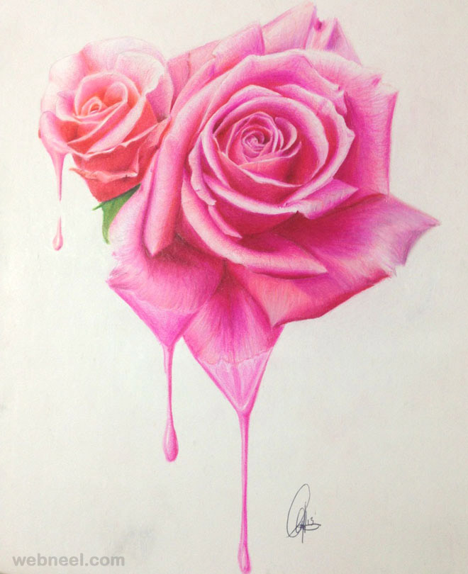 660x810 Beautiful Flower Drawings And Realistic Color Pencil Drawings - Beautiful Rose Drawing
