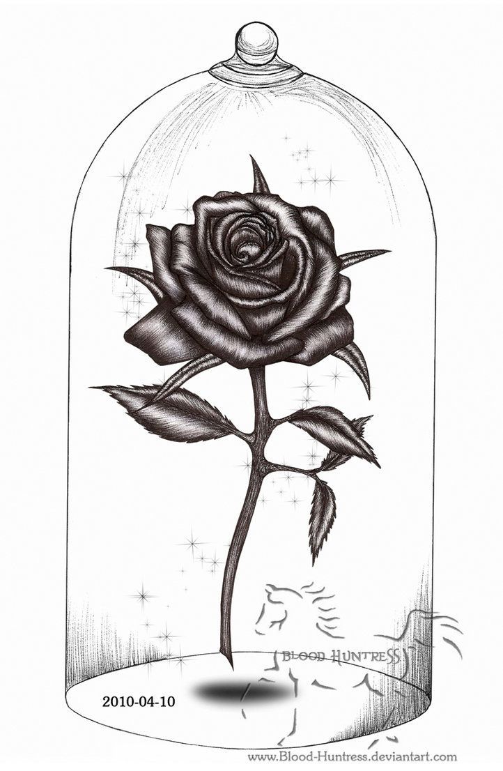 Beauty And The Beast Rose Drawing At Paintingvalley Com Explore Collection Of Beauty And The Beast Rose Drawing