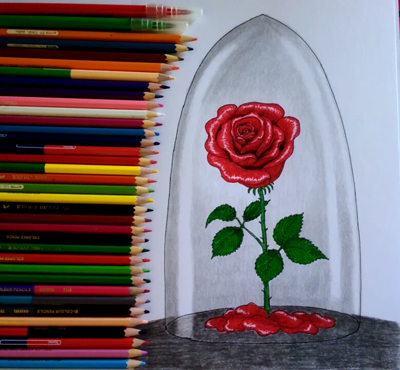 Beauty And The Beast Rose Drawing at Explore