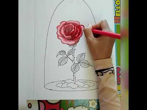 480x360 Drawing Rose - Beauty And The Beast Rose Drawing