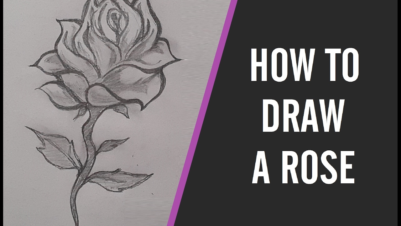 1280x720 How To Draw A Rose - Beauty And The Beast Rose Drawing