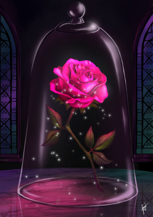 500x707 Beauty And The Beast Drawing On We Heart It - Beauty And The Beast Rose Drawing