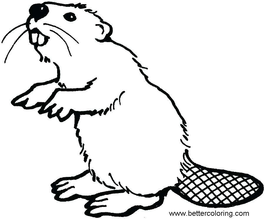 900x744 coloring pages printable summer flowers free disney zombies - Beaver Cartoon Drawing