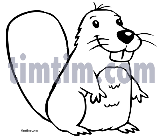 571x489 free drawing of a beaver bw from the category wild animals - Beaver Cartoon Drawing