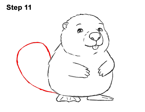 500x386 how to draw a beaver - Beaver Cartoon Drawing