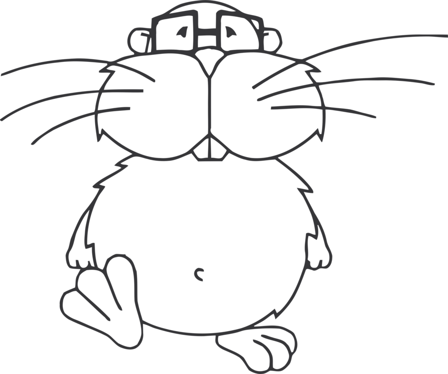 899x750 mammal eye american beaver drawing cartoon cc0 - Beaver Cartoon Drawing