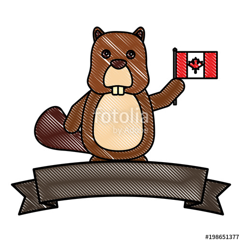 500x500 beaver character cartoon holding canadian flag vector illustration - Beaver Cartoon Drawing