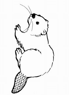 236x324 how to draw a beaver animals beavers drawings, beaver drawing - Beaver Cartoon Drawing